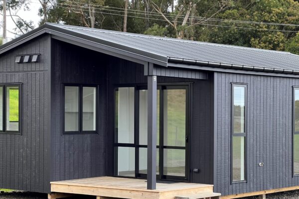 Dixon - painted black post copy Dixon - painted black post copy