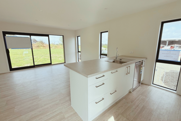 Newton Filtered (1) Newton Filtered (1)